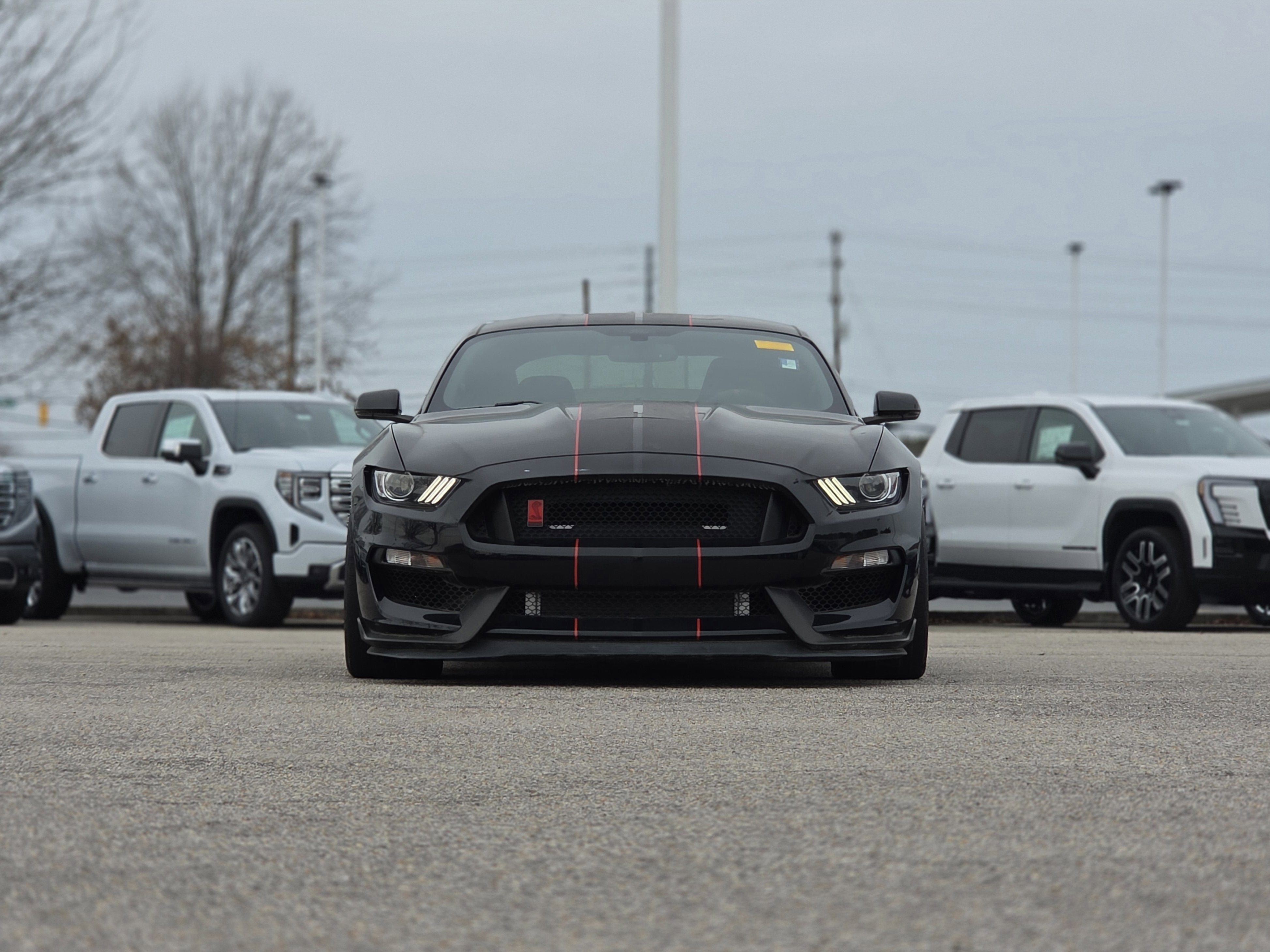 2018 Ford Mustang Shelby GT350R